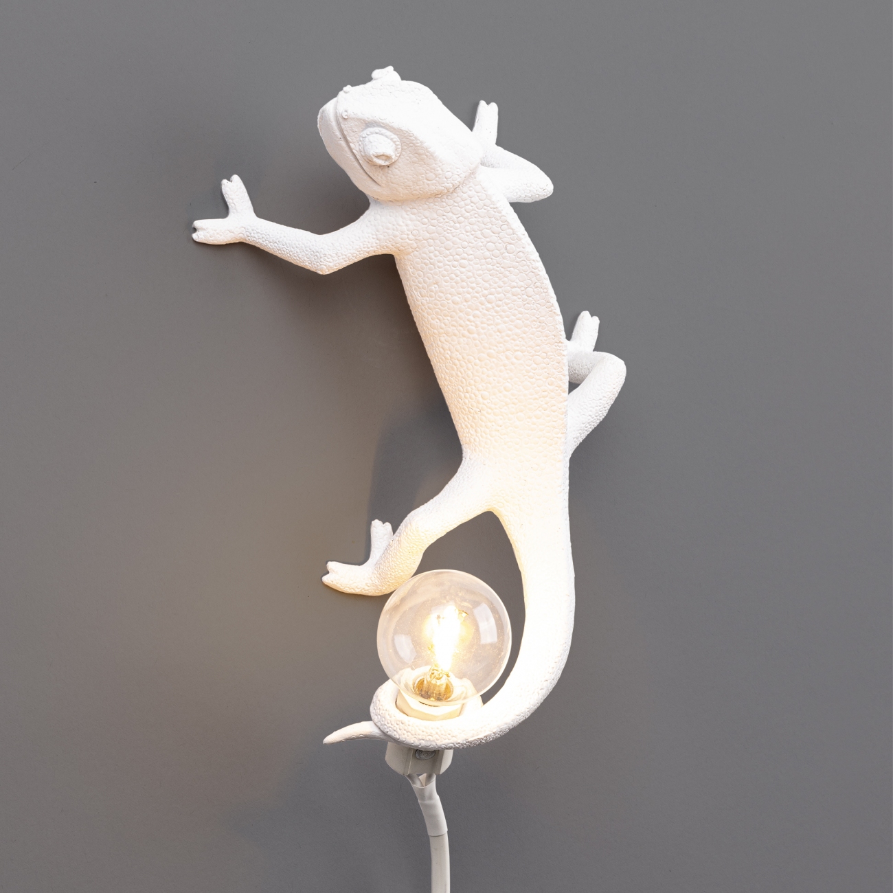 Doe herleven Gewaad Gelukkig Seletti Chameleon USB Wall Lamp