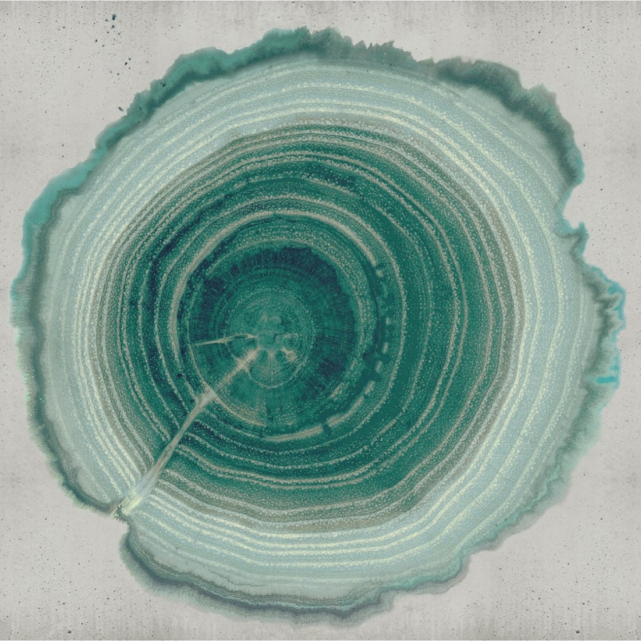 Wall & Decò Tree of Life Wallpaper