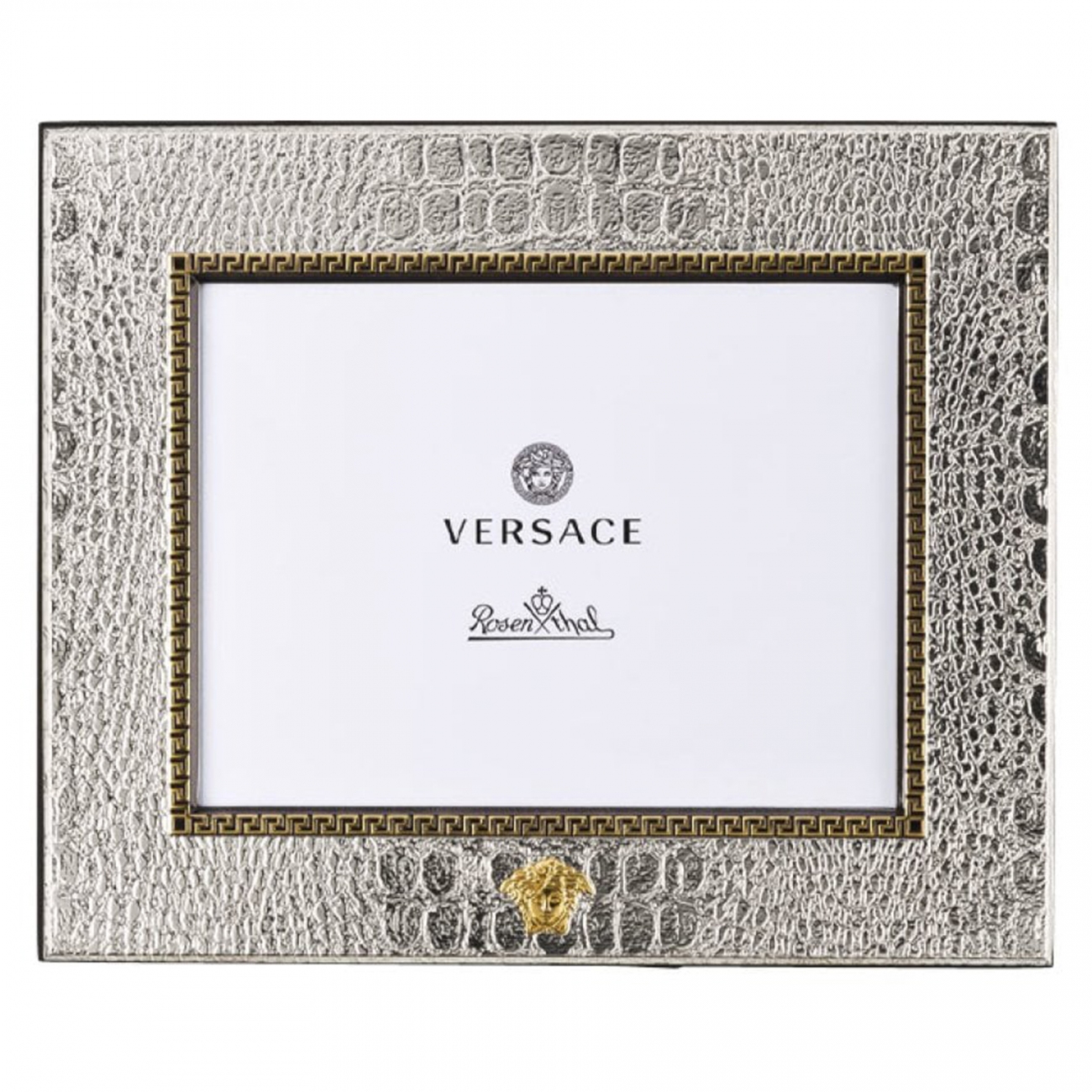 Rosenthal Versace Frames VHF3 Silver Picture frame